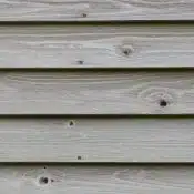 woods with small holes