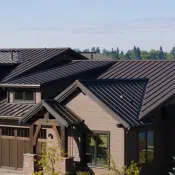 trees behind a house