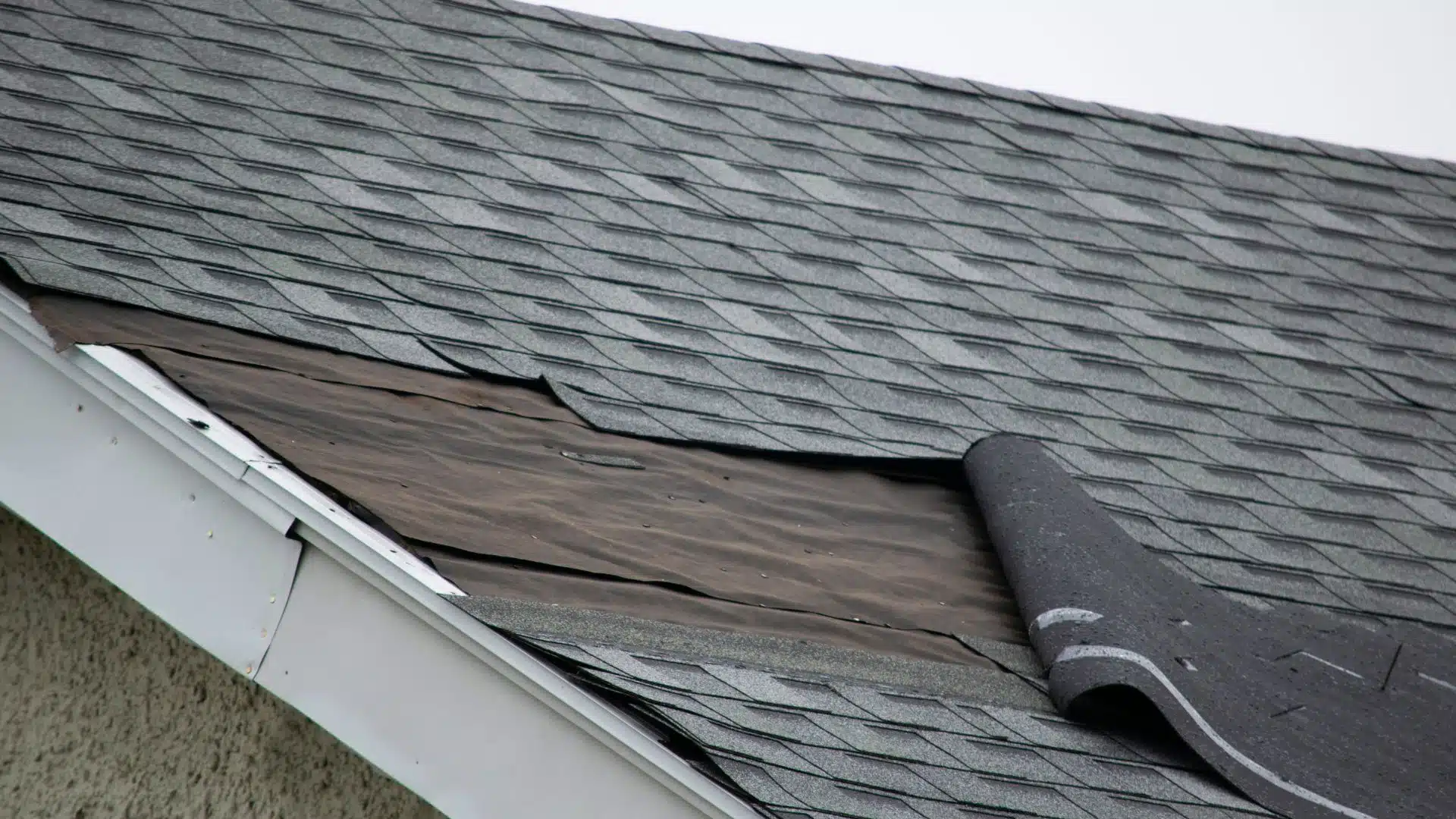 Roof issues
