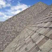asphalt shingle roof