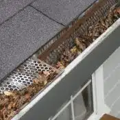 dried leaves in the gutter