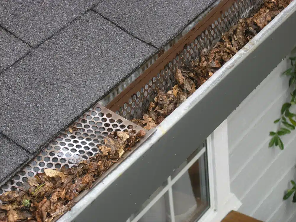 dried leaves in the gutter