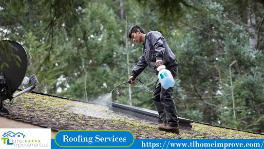 man spraying the roof
